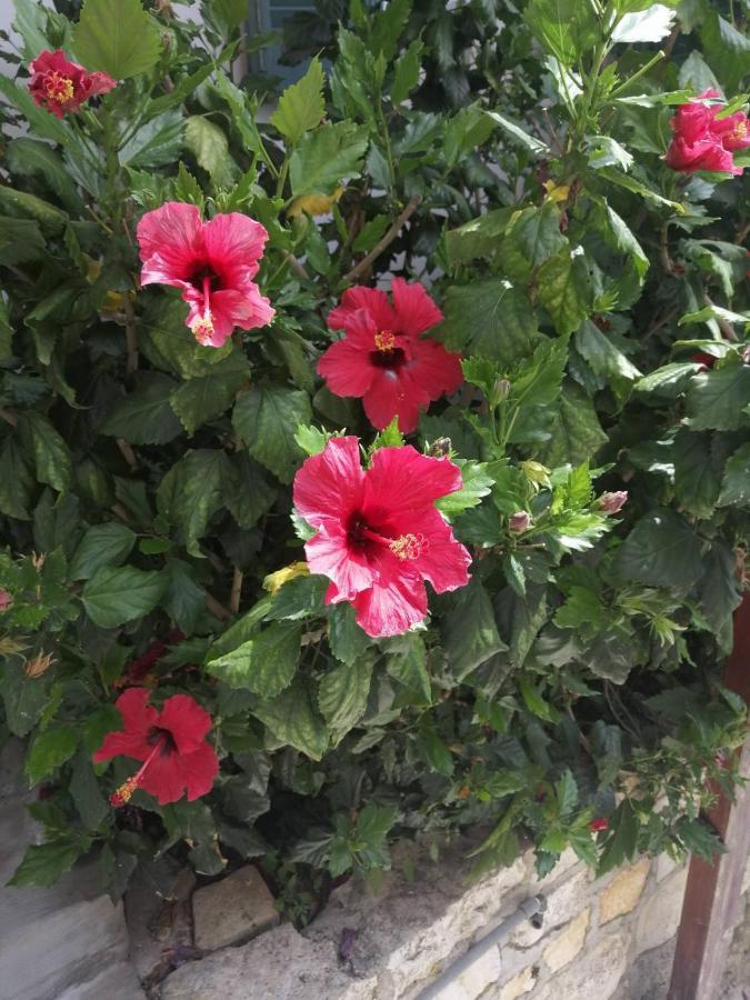 Paola'S Full Sea View House Apartment Gaios Bagian luar foto